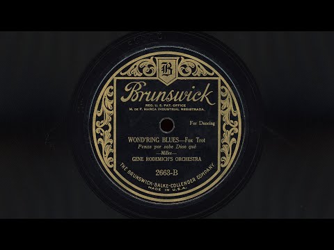 “Wond’ring Blues” – Gene Rodemich’s Orchestra (1924)