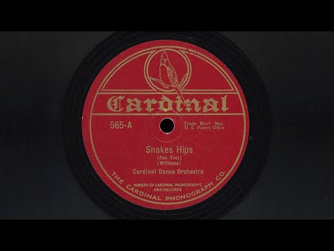 “Snakes Hip” – Cardinal Dance Orchestra (1923)
